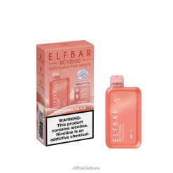 ELFBAR vienkartinis vape naujas bc10000 10000puffs arbūzų ledas 6FJ4456
