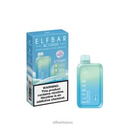 ELFBAR vienkartinis vape naujas bc10000 10000puffs mėlynių mėtų 6FJ4437
